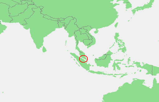 China China